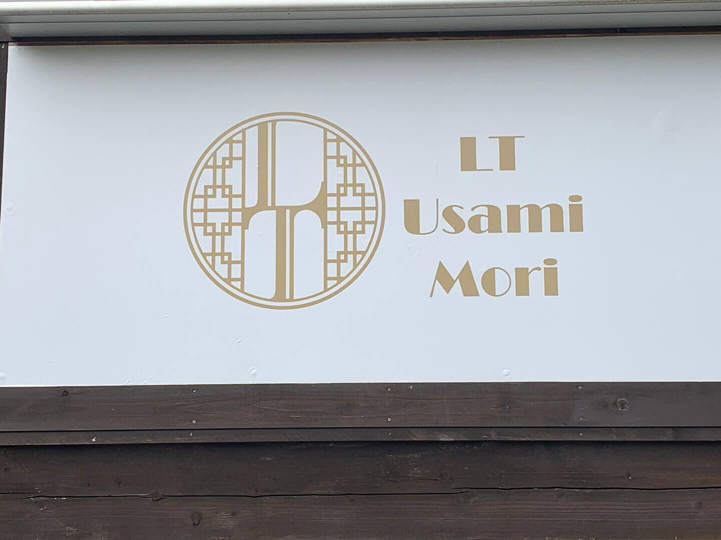 LT Usami Mori-image