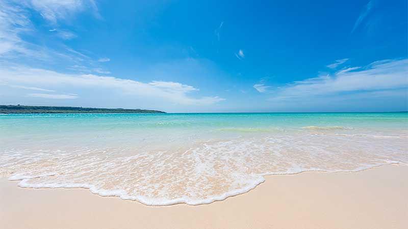 海の夏レジャー