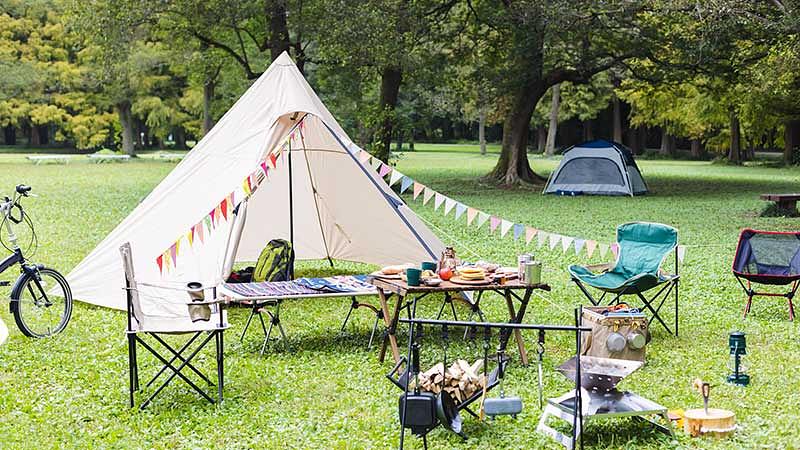 夏キャンプは虫除け対策が絶対必要!