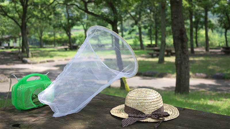 夏のキャンプ場によく出る虫