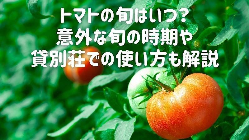 トマトの旬はいつ？意外な旬の時期や貸別荘での使い方も解説