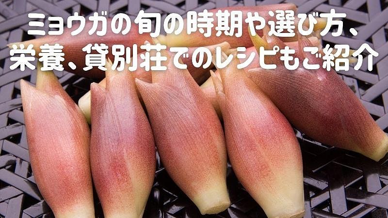 ミョウガの旬の時期や選び方、栄養、貸別荘でのレシピもご紹介