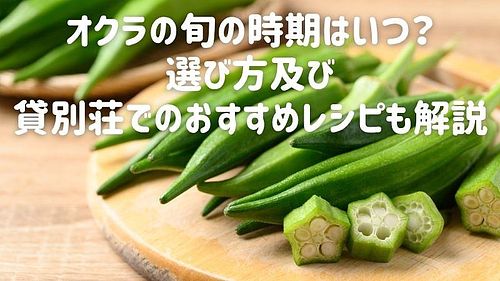 オクラの旬の時期はいつ？選び方及び貸別荘でのおすすめレシピも解説