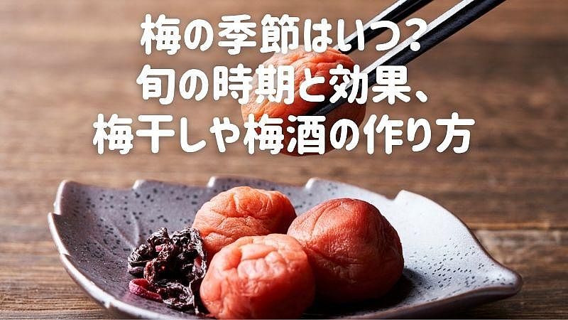 梅の季節はいつ？旬の時期と効果、梅干しや梅酒の作り方