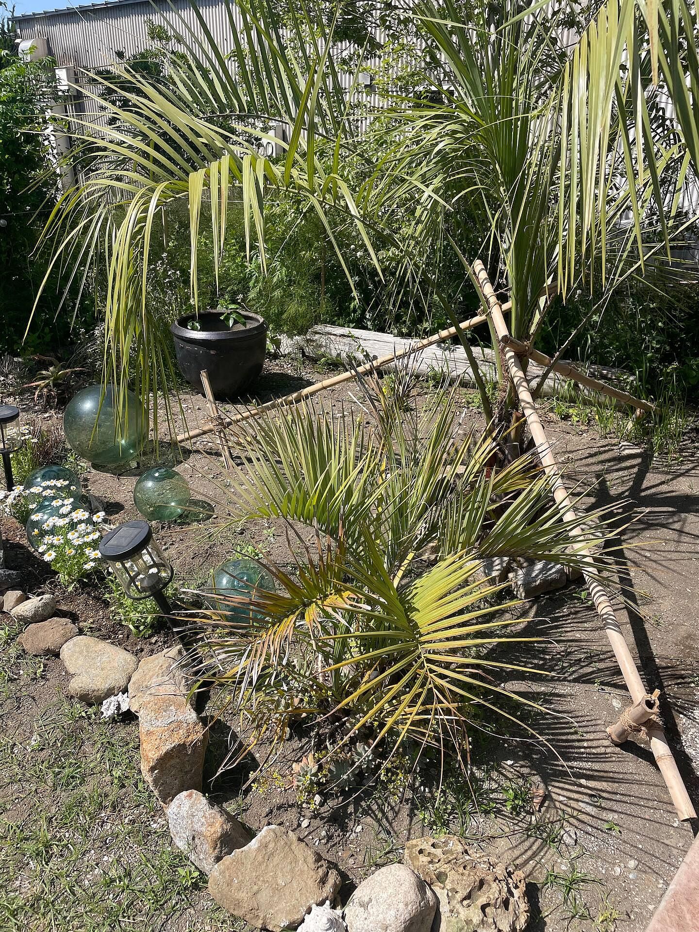 THE BLUE LAGOON 南房総-image