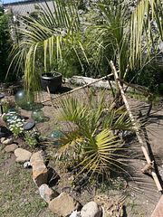 THE BLUE LAGOON 南房総-image