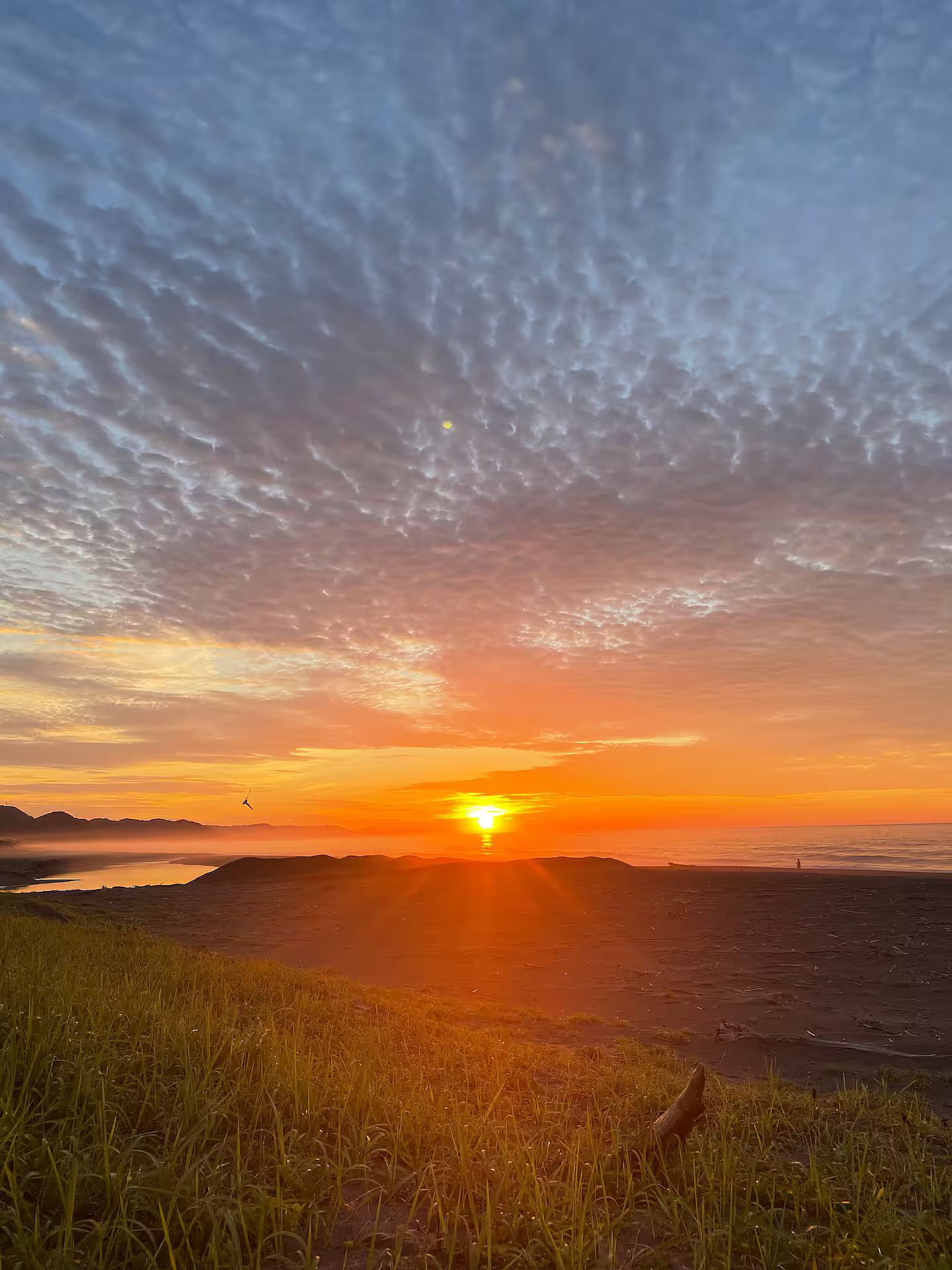 朝陽が水平線から