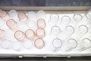  太陽と星が輝く宿 季楽 ～KIRA～-image