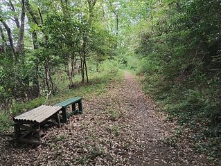 遊歩道で散歩は如何ですか?