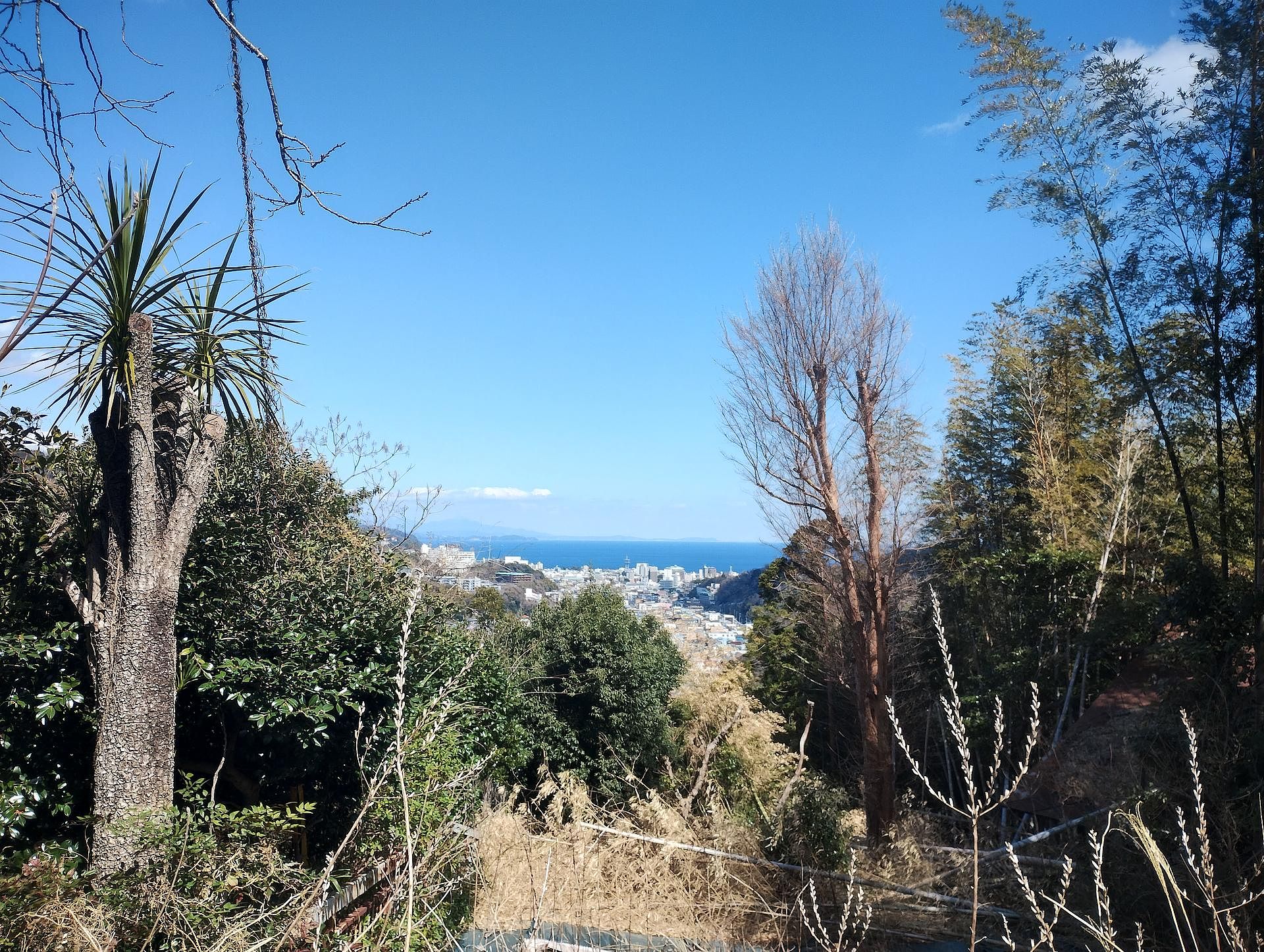 遊歩道から伊東市内や相模湾が見れます。