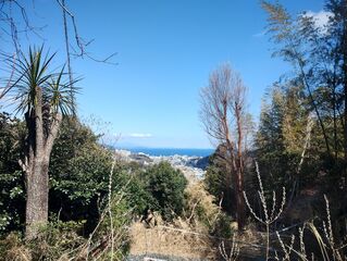 遊歩道から伊東市内や相模湾が見れます。