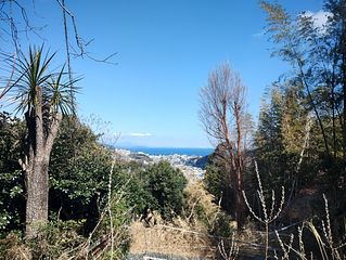 遊歩道から伊東市内や相模湾が見れます。