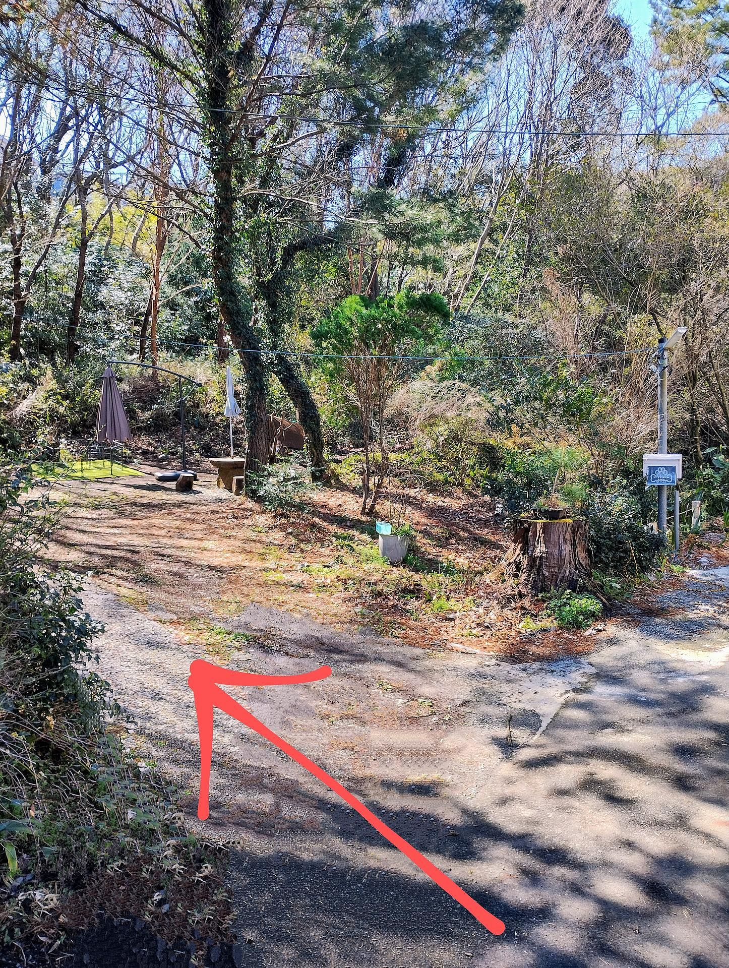 駐車場はコチラPマーク付近にお願いします。