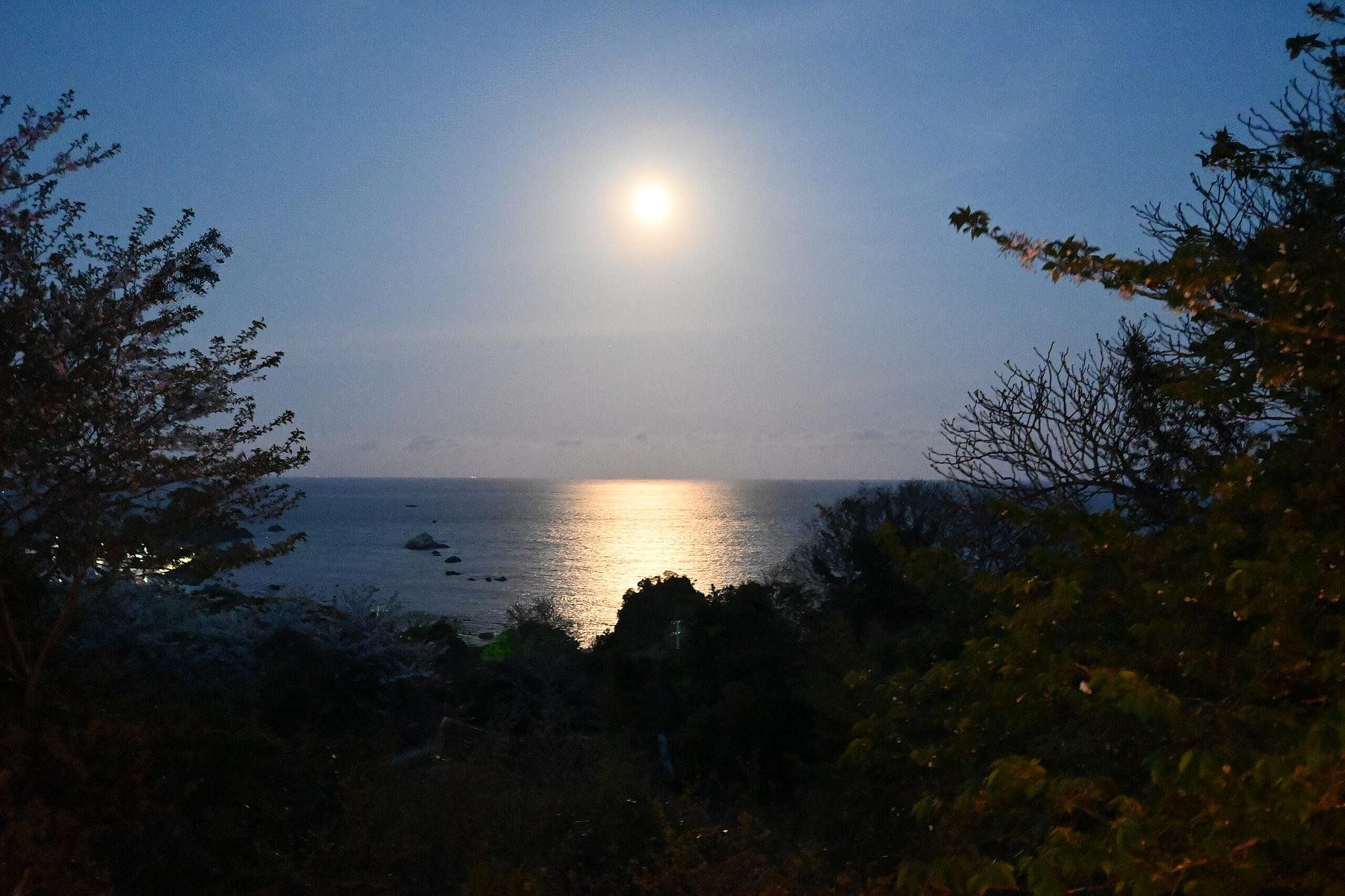 海夜をまっすぐに照らす月の光が、あなたの休日を特別な非日常なものへと変えていきます。