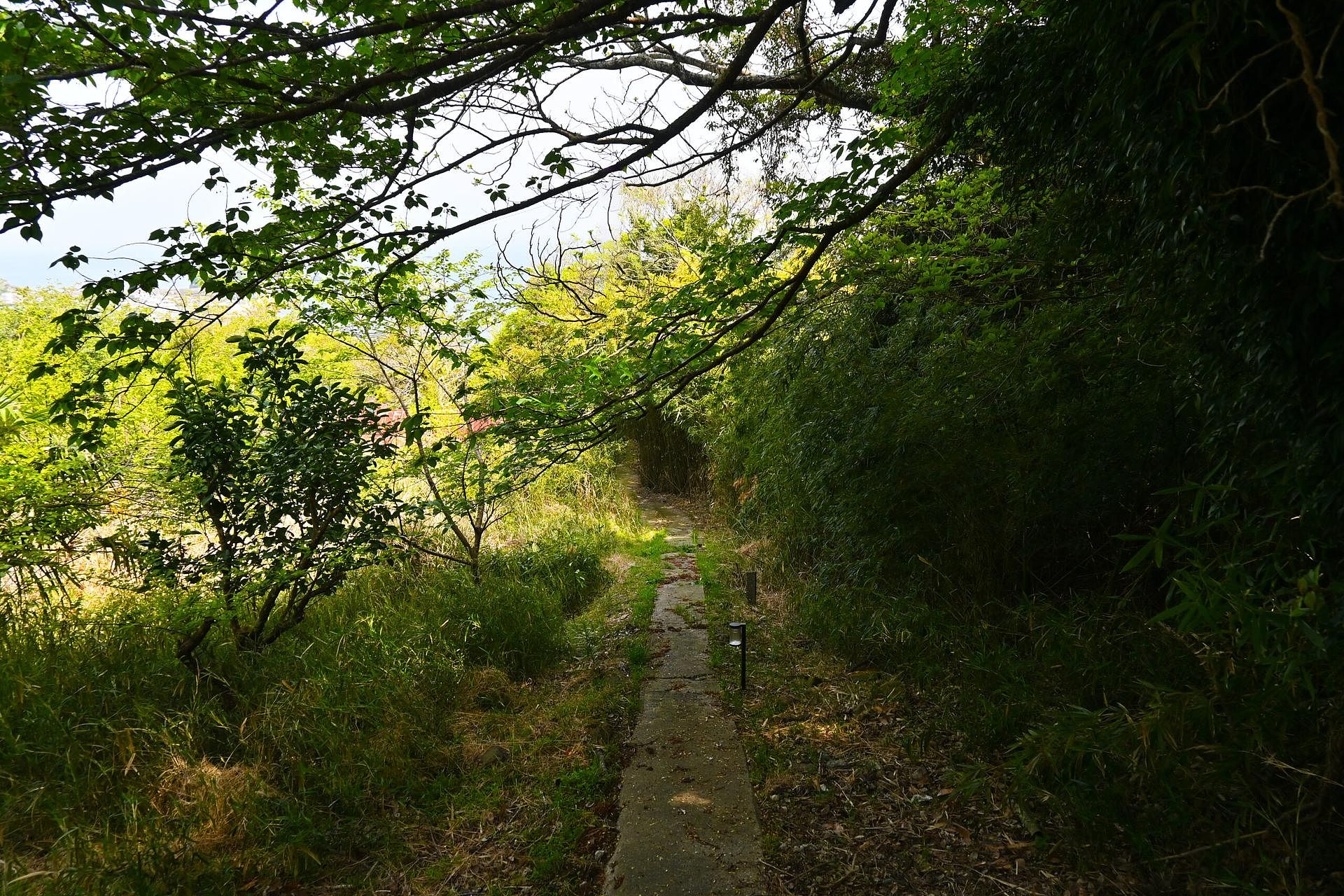 緑のトンネルを抜けると、そこにはプライベートな海岸が広がります。