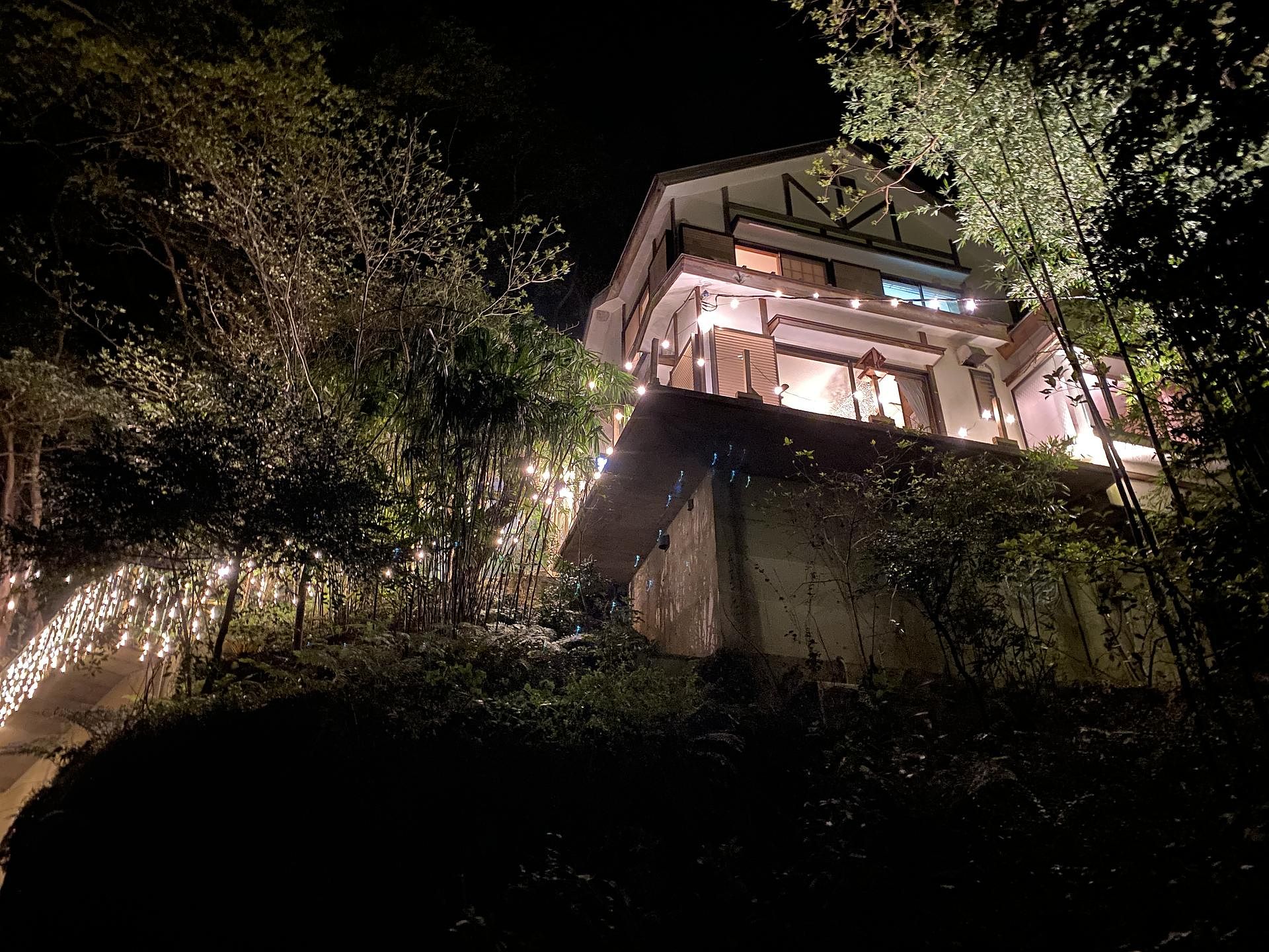 傾斜地のため、窓からはツリーハウスにいるような景色がみれます