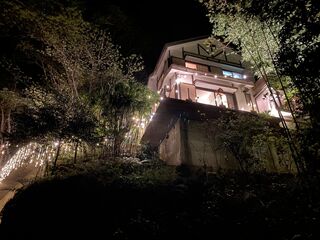 傾斜地のため、窓からはツリーハウスにいるような景色がみれます