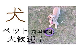ペット大歓迎