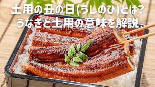 土用の丑の日(うしのひ)とは？うなぎと土用の意味を解説