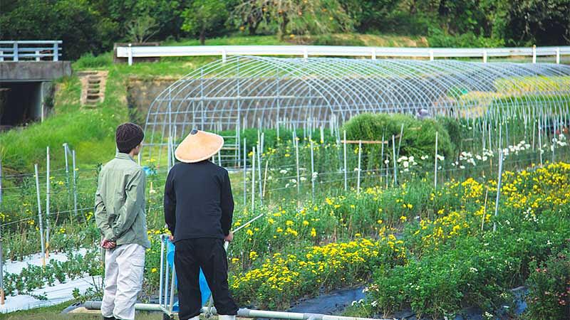 農泊支援に関する事業