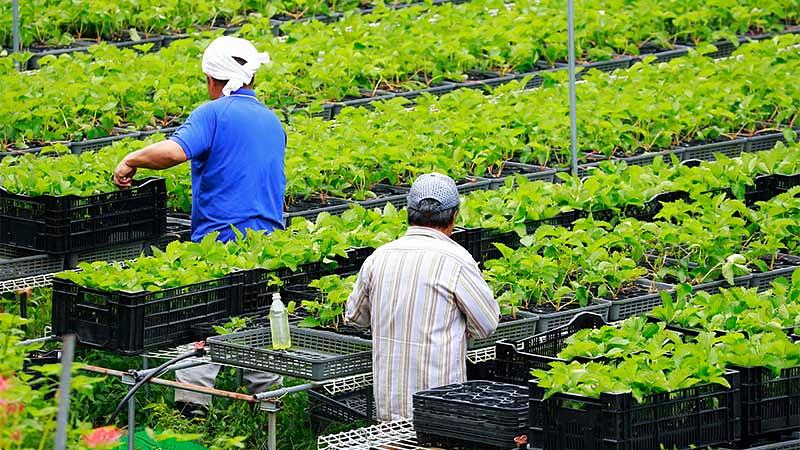 農泊を始める手順4ステップ