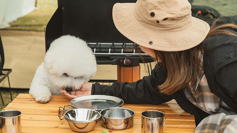 愛犬が食べられるバーベキューのオススメ食材
