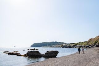 【海辺の散歩】自然に囲まれた静かな海岸で、心解き放つ散歩を