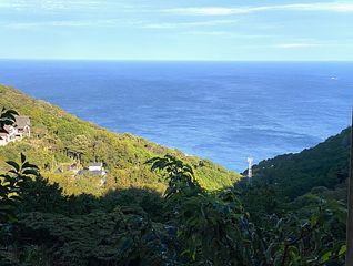 キャロットハウス-image