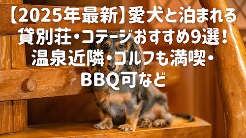 【2025年最新】愛犬と泊まれる貸別荘・コテージおすすめ9選！温泉近隣・ゴルフも満喫・BBQ可など