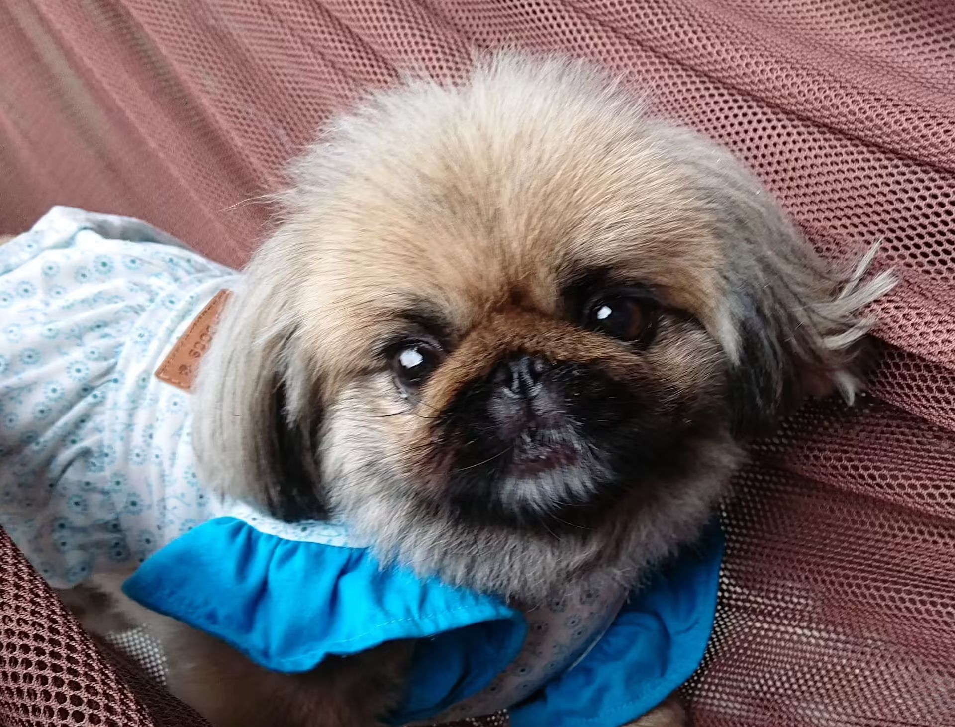  古民家　筧-image