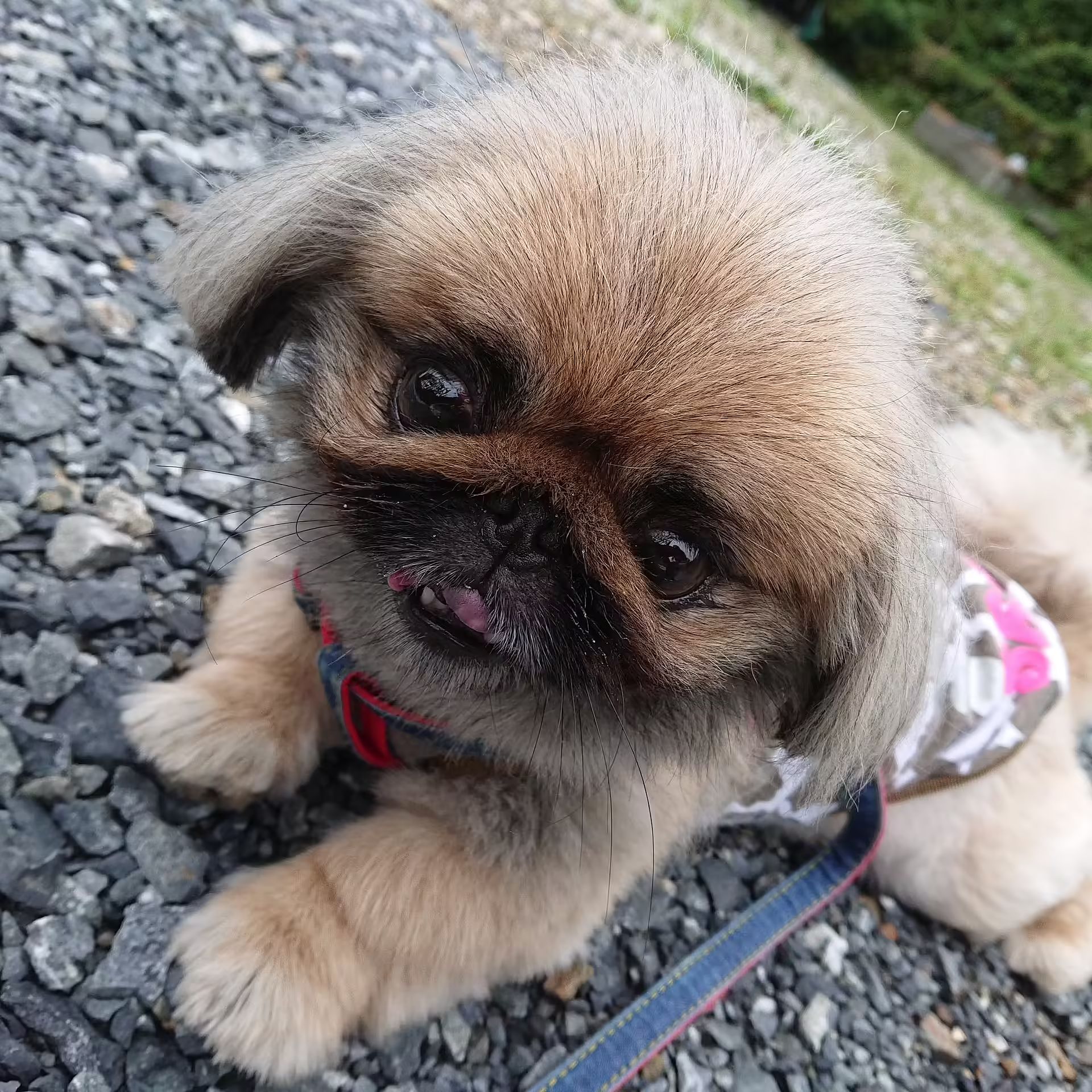  古民家　筧-image