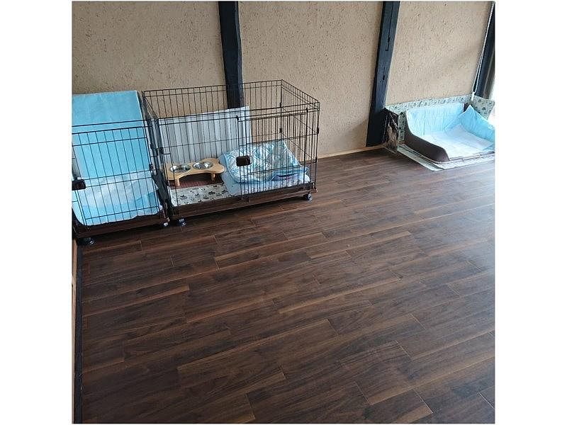  古民家　筧-image