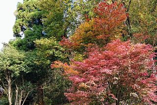  古民家　筧-image