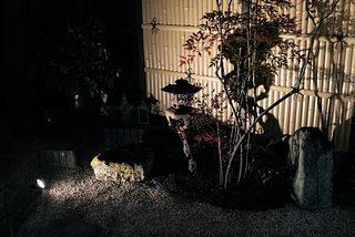 中庭