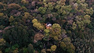 自然と音楽を愉しむ ~森の隠れ家宿 Private lodge SARU-image