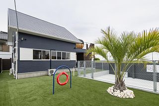 ドッグラン(昼)