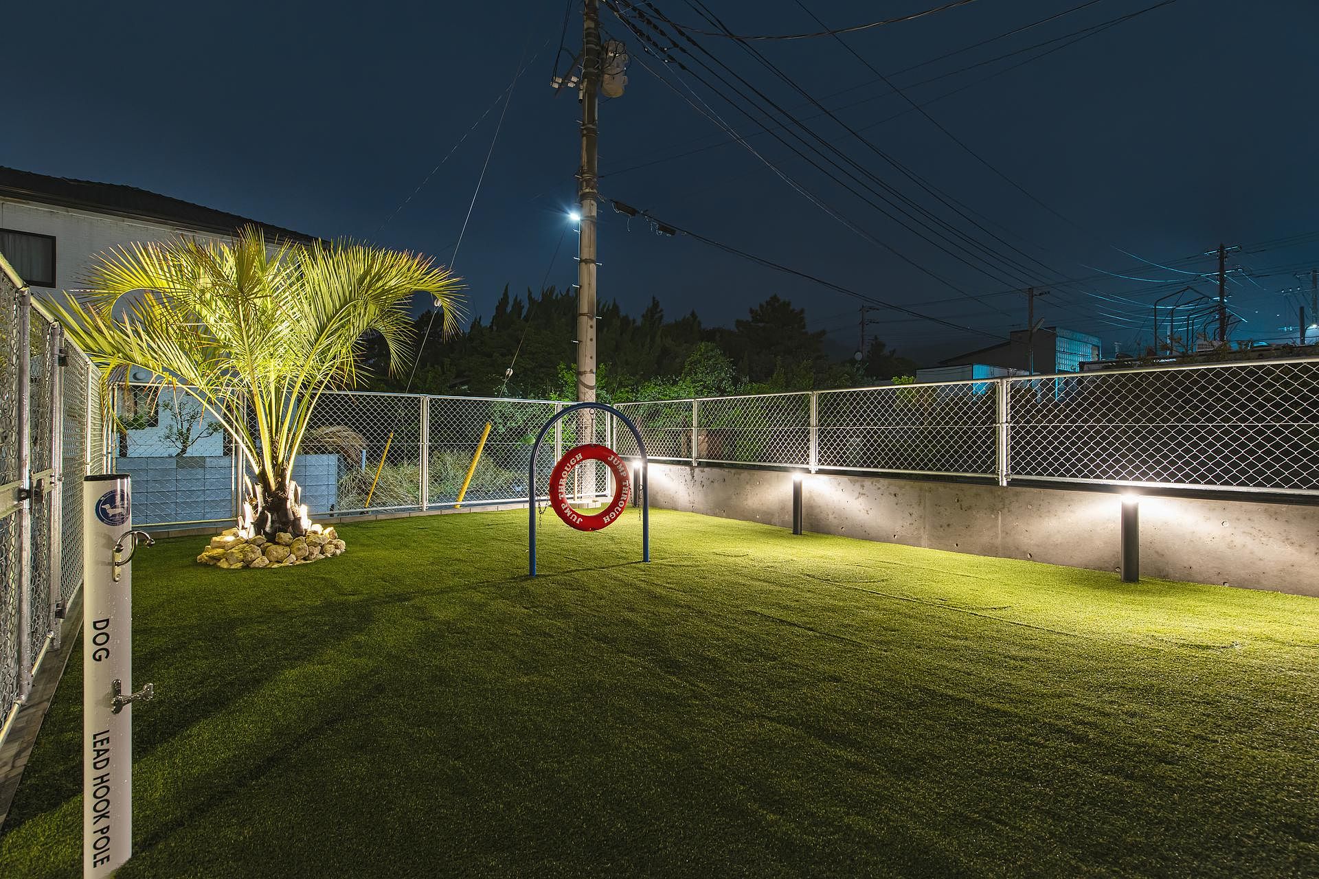 ドッグラン(夜)