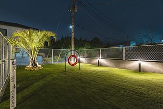 ドッグラン(夜)