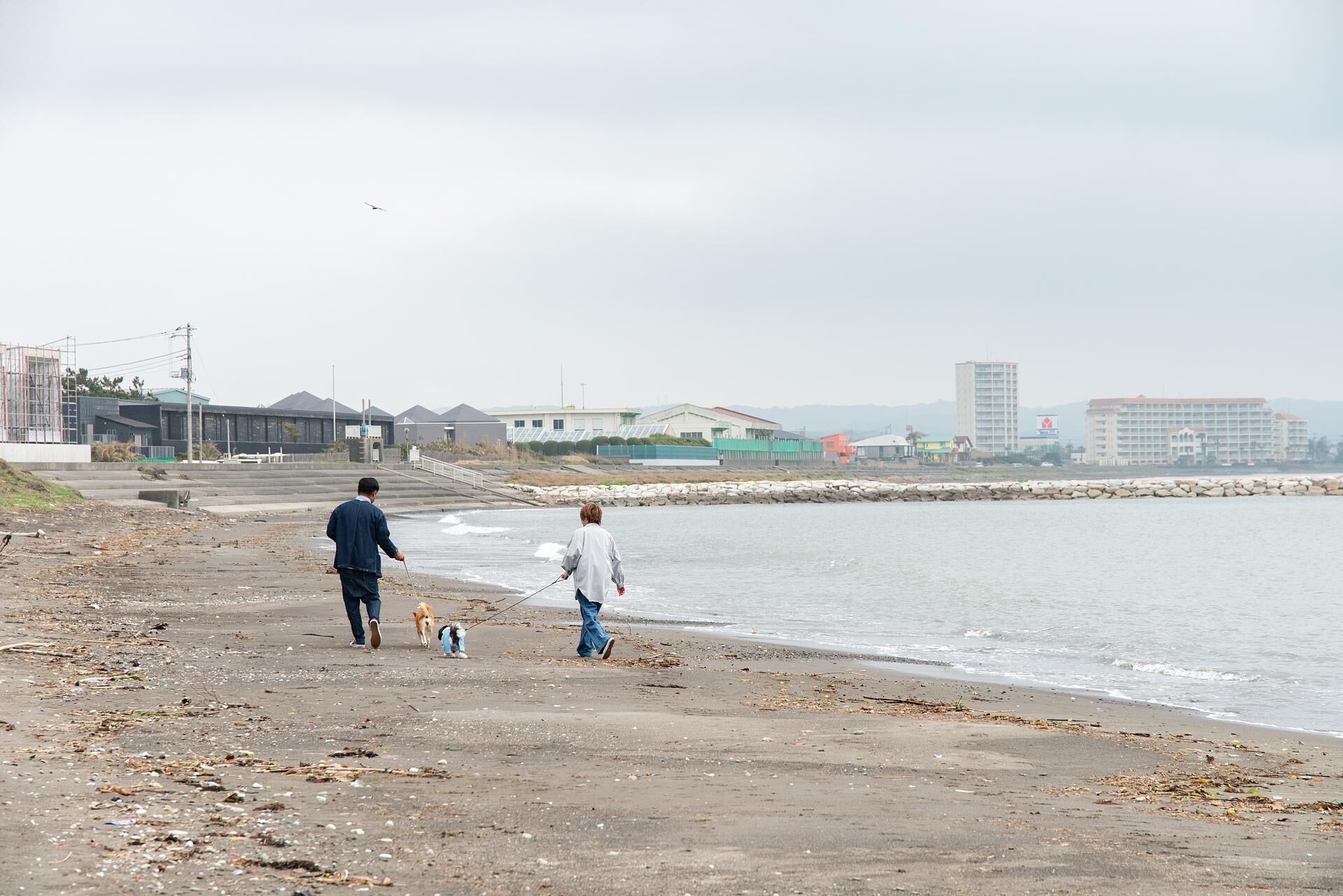 【海辺の散歩】目の前に広がる海を感じながらのお散歩