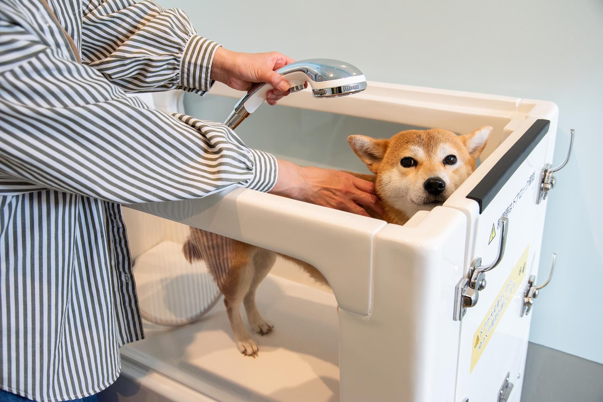 【トリミングルーム】温かいお湯で旅の疲れを癒してあげてください