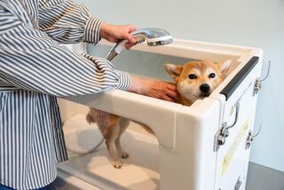 【トリミングルーム】温かいお湯で旅の疲れを癒してあげてください
