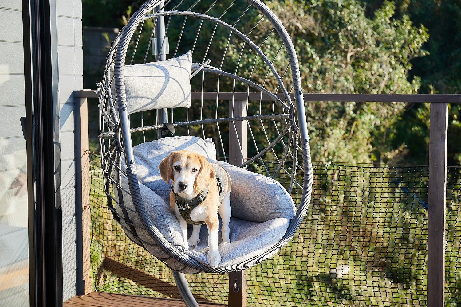 Sumera Resort Shinmaiko-image