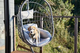 Sumera Resort Shinmaiko-image