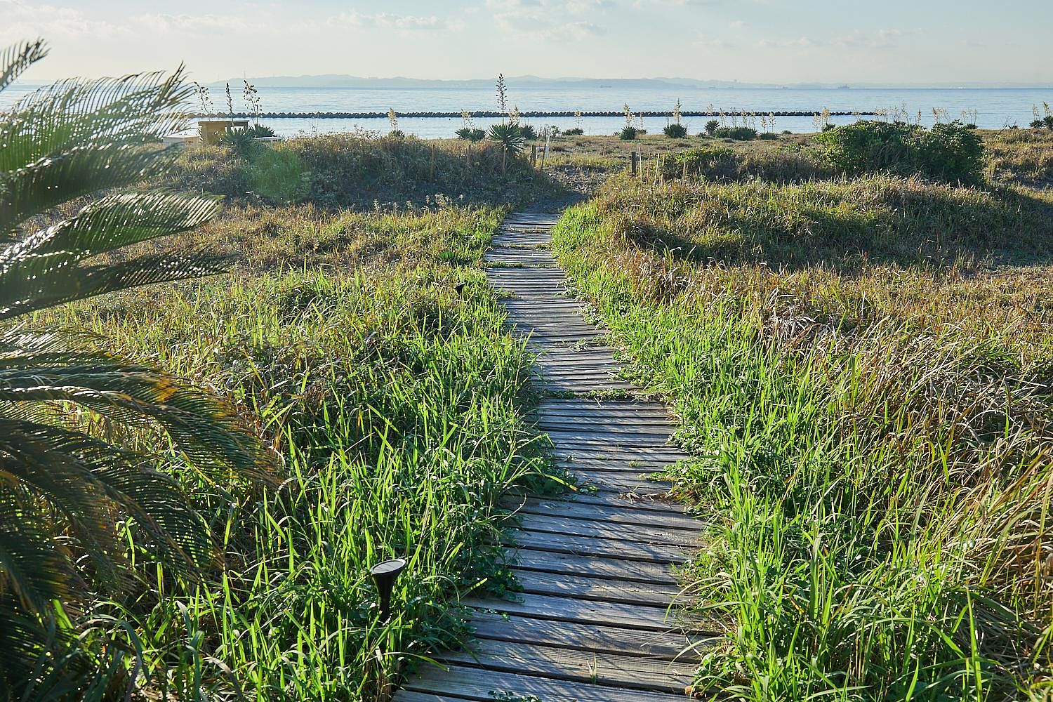 Sumera Resort Shinmaiko-image