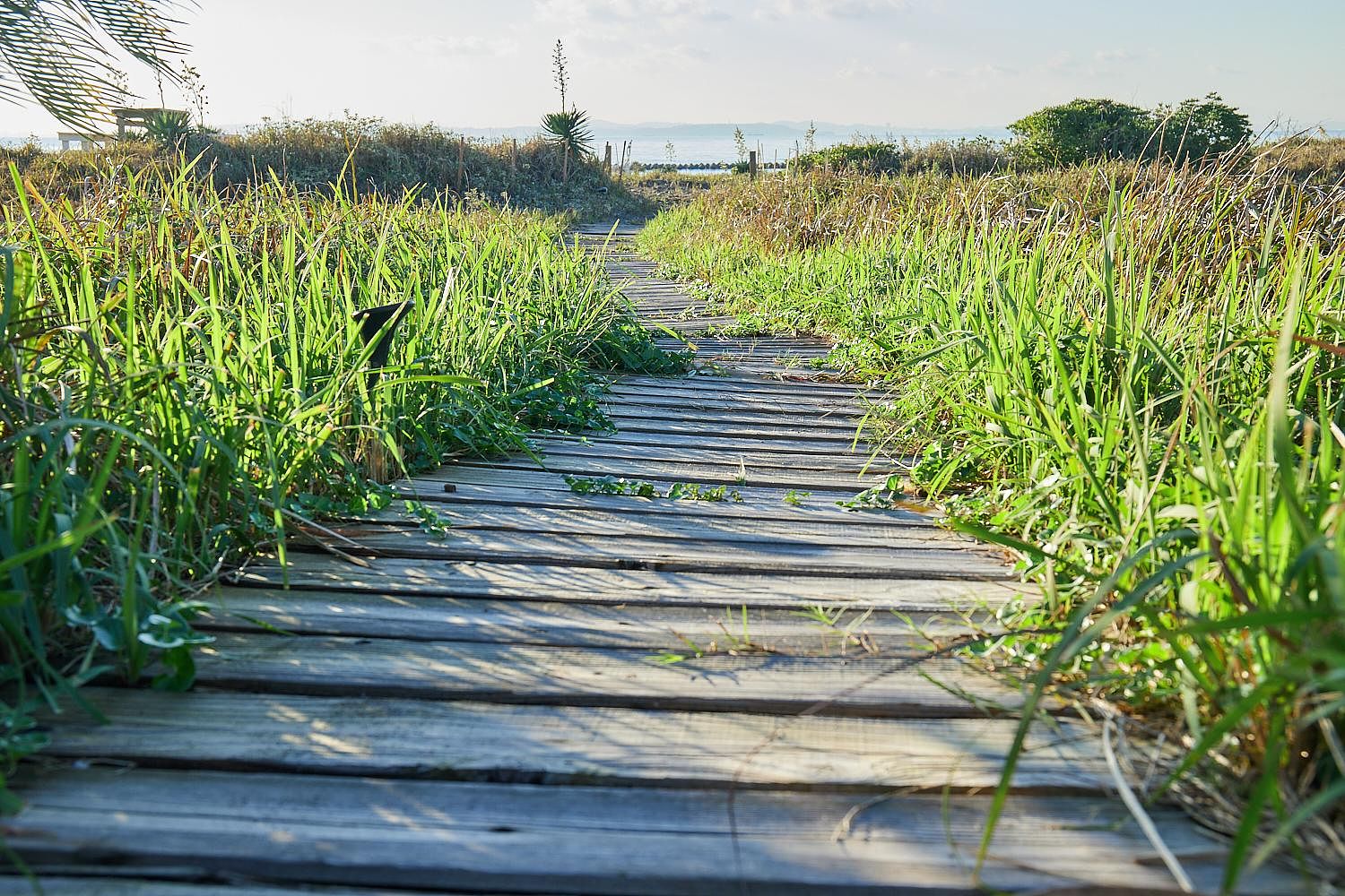 Sumera Resort Shinmaiko-image