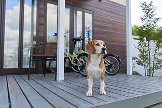 Sumera Resort Minato-image