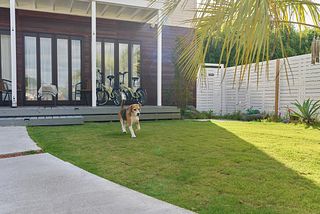 Sumera Resort Minato-image