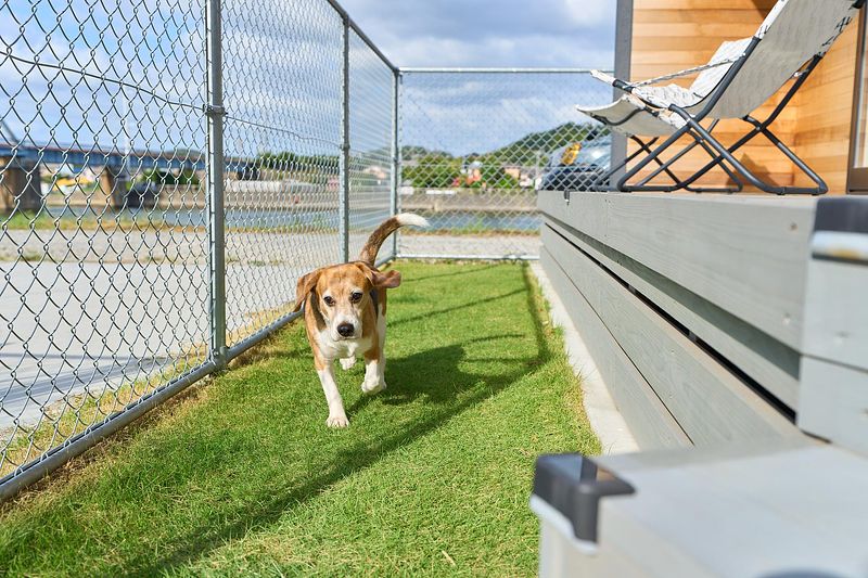 Sumera Resort Minato-image