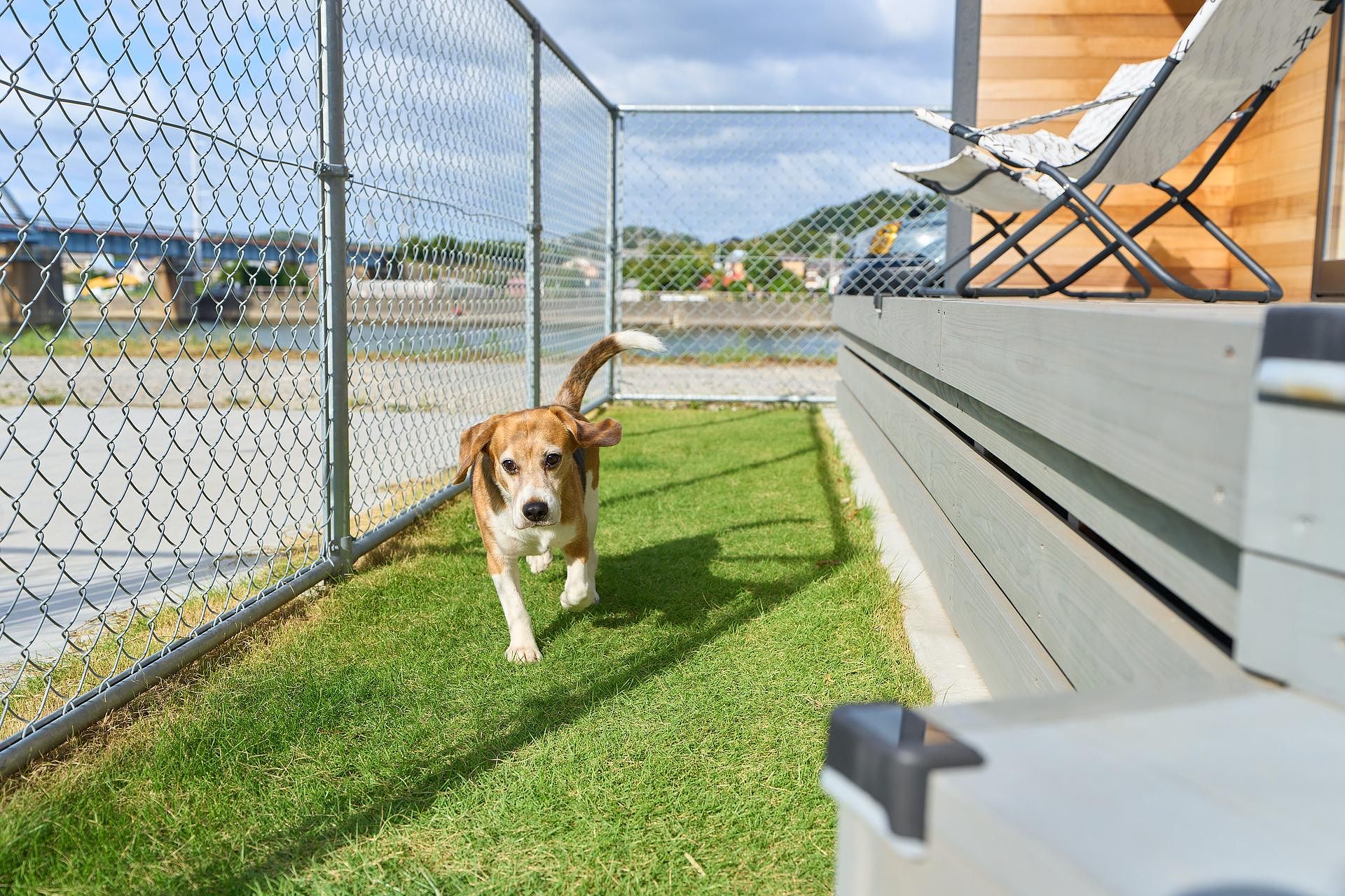 Sumera Resort Minato-image