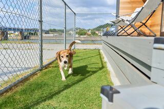 ペット同伴可。１日１組貸切なのでノーリードでのびのびとお過ごしください。